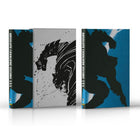 Absolute Cavaliere Oscuro - Panini Comics DC Absolute