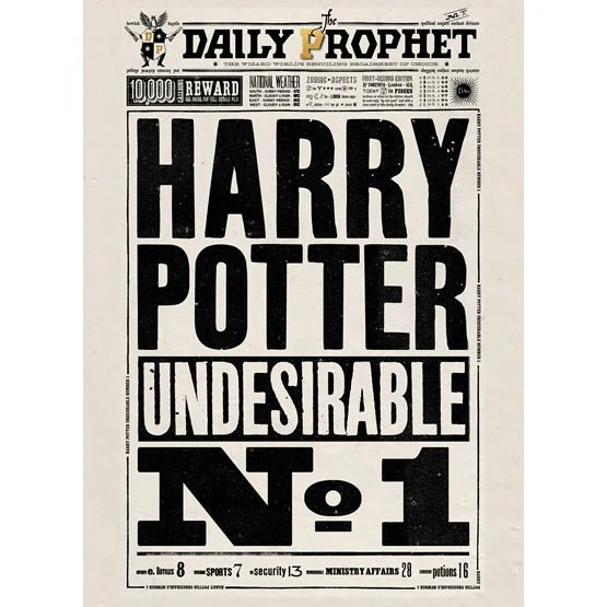 Harry Potter Poster - Mandato di Cattura di Harry Potter - L’emporio dell’avventuriero