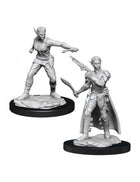 Wizkids Miniature D&D Nolzur's Marvelous Miniature - Shifter Rogue - L’emporio dell’avventuriero