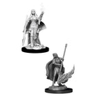 Wizkids Miniature Pathfinder Battle - Oracolo Umano Donna - L’emporio dell’avventuriero