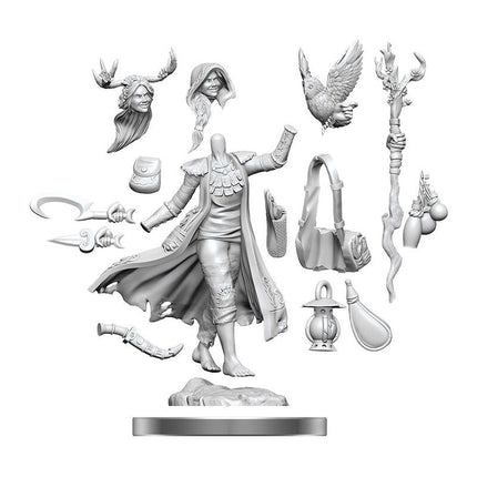 D&D Frameworks - Elf Druid Female - L’emporio dell’avventuriero