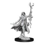 D&D Frameworks - Elf Druid Female - L’emporio dell’avventuriero