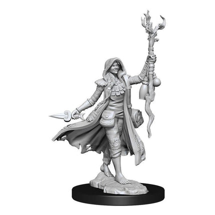D&D Frameworks - Elf Druid Female - L’emporio dell’avventuriero