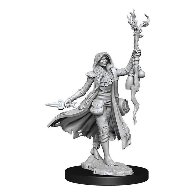 D&D Frameworks - Elf Druid Female - L’emporio dell’avventuriero