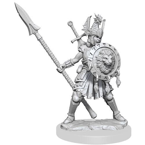 D&D Frameworks - Human Fighter Female - L’emporio dell’avventuriero