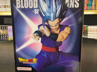 Dragon Ball Super Blood of Saiyans Special XIV - Son Gohan - L’emporio dell’avventuriero