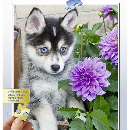 Puzzle - Husky - L’emporio dell’avventuriero