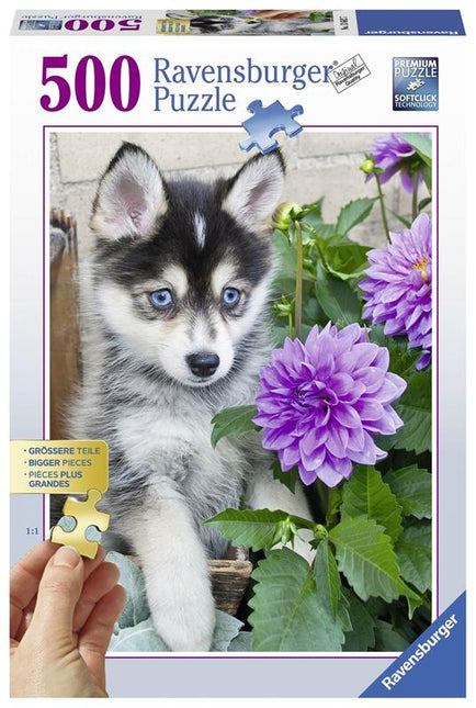 Puzzle - Husky - L’emporio dell’avventuriero