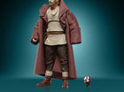 Star Wars Vintage Collection Figure - Obi-Wan Kenobi (Wandering Jedi) - L’emporio dell’avventuriero
